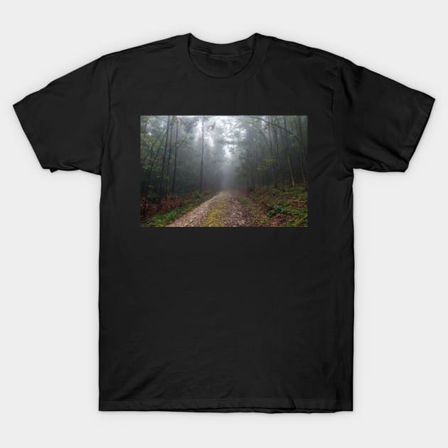 Road in the foggy forest T-Shirt by naturalis